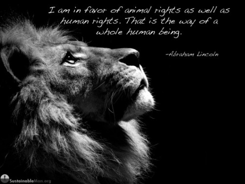 IN-FAVOR-OF-ANIMAL-RIGHTS.jpg