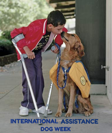 INTL-ASSISTANCE-DOG-WEEK-8-18.jpg