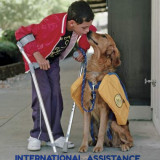INTL-ASSISTANCE-DOG-WEEK-8-18