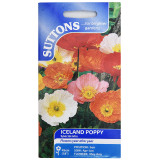 Iceland-Poppy-Special-Mix-set-of-1-1