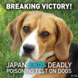 JAPAN-ENDS-DEADLY-TEST-ON-DOGS-4-18-18