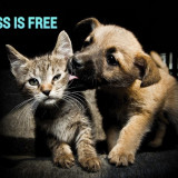 KINDNESS-IS-FREE