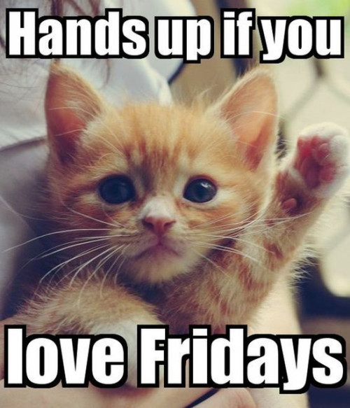 KITTY LOVE FRIDAYS