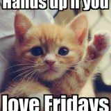 KITTY-LOVE-FRIDAYS