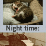 KITTY-MY-LIFE-DAY-AND-NIGHT-TIME