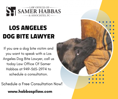 LA-Dog-bite-lawyer.png