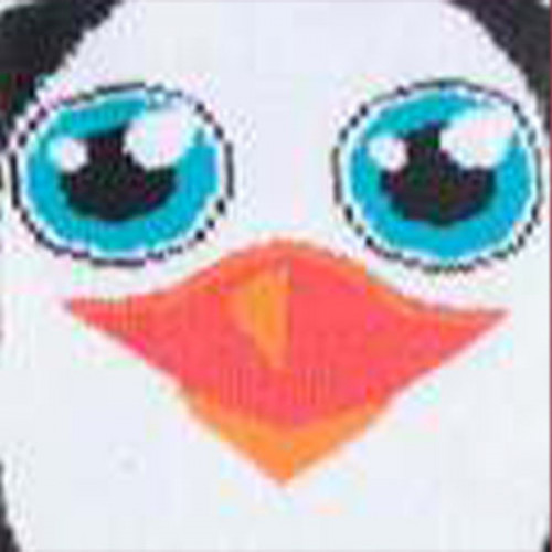 LADIES_PENGUIN_swatch.jpg