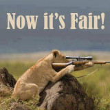 LIONESS-NOW-ITS-FAIR