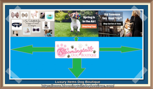 Wide range of fashion at our Luxury Dog Boutique consists designer dog clothes, collars, carriers, toys, dog beds and all type of unique apparel are available. Visit Bloomingtails Dog Boutique to check our brand new collections of dog products. https://bit.ly/3XunQpq