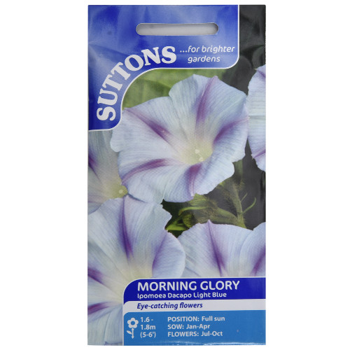 Morning-Glory-Ipomoea-Decapo-Set-of-1-1.jpg