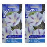 Morning-Glory-Ipomoea-Decapo-Set-of-2-1