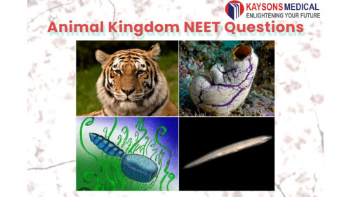 NEET-Animal-Kingdom.jpg