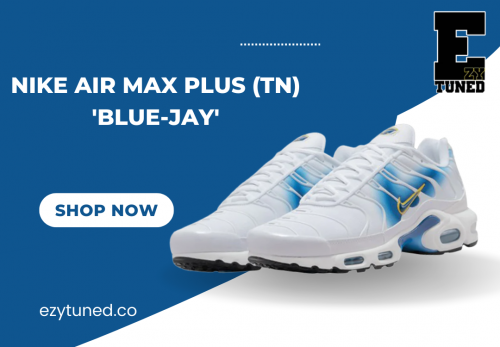 NIKE-AIR-MAX-PLUS-TN-BLUE-JAY.png