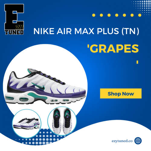 NIKE-AIR-MAX-PLUS-TN-GRAPES.png