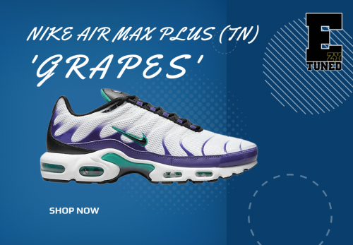 NIKE-AIR-MAX-PLUS-TN-GRAPESb9db8088fc1be566.png