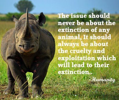 NO-EXTINCTION-RHINO.jpg