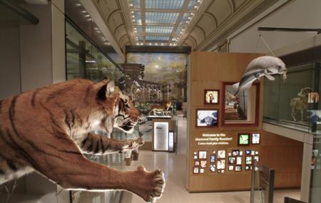 National-Museum-Of-Natural-History.jpg