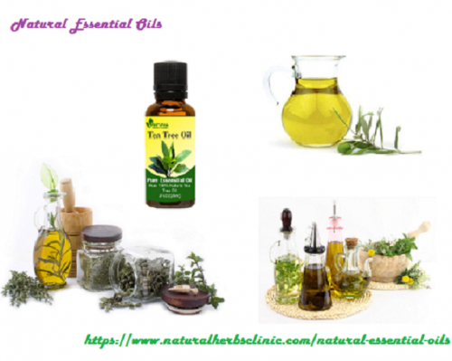 There is one topic that deserves our full attention and it concerns the purity of Natural Essential Oils in general, and the topic of 100% Pure Essential Oils.... https://www.naturalherbsclinic.com/natural-essential-oils