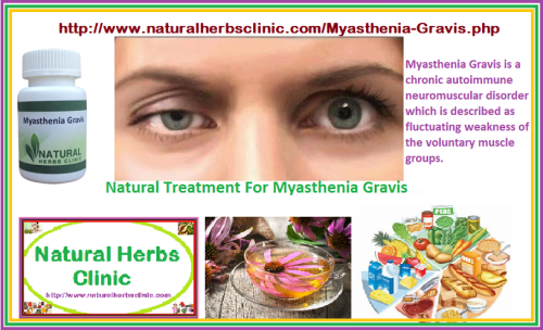Medical treatment is critical for this disease. Myasthenia Gravis Natural Treatment can also help a patient to manage with the symptoms of this disease.  Herbs which can be used to treat this disorder consist of Asian Ginseng, Echinacea, Gingko Biloba, Winter Cherry and Astragalus.... https://naturalcureproducts.wordpress.com/2017/11/17/6-natural-treatment-for-myasthenia-gravis/