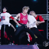 Nct-GIF-source-15bfa628a740b4387a