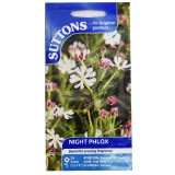 Night-Phlox-set-of-1-1