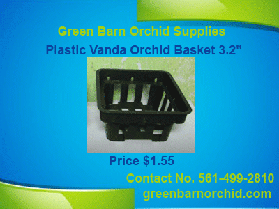 Vanda basket for sale online at a low price in Green Barn Orchid Supplies online store. Here you can find all varieties of vanda baskets for your orchids. For more product details call at 561-499-2810 or visit our website: http://shop.greenbarnorchid.com/category.sc?categoryId=20