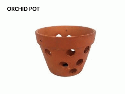 Shop orchid pot from Green Barn Orchid Supplies in the USA. Best price guaranteed! Our products are varied and we try to appeal to all of the growing needs of our customers. Shop online now. We invite you to call us 561-499-2810 if you have any questions.
Visit us: http://shop.greenbarnorchid.com/category.sc?categoryId=3
