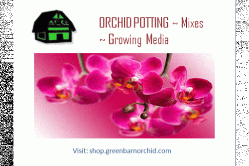 Green Barn Orchid Supplies is providing beautiful orchid pots made of rustic clay and natural plastics in Florida at reasonable prices. For more product details call at 561-499-2810 or visit our website: https://shop.greenbarnorchid.com/category.sc?categoryId=3