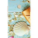 PC521ee4f386c30eac1bb