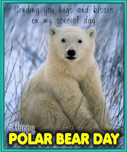 POLAR-BEAR-DAY.gif