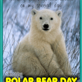 POLAR-BEAR-DAY