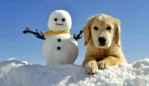 PUPPY-AND-SNOWMAN.jpg