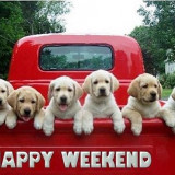 PUPPY-HAPPY-WEEKEND