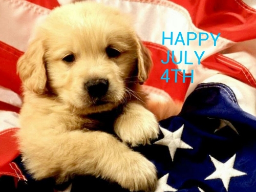 PUPPY-PATRIOTIC.jpg