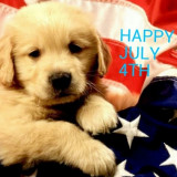 PUPPY-PATRIOTIC