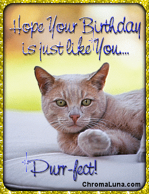 PURRFECT-BIRTHDAY.gif