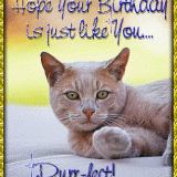 PURRFECT-BIRTHDAY