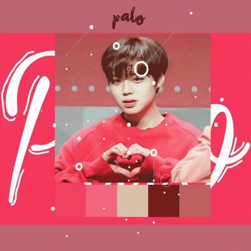 Palo.gif
