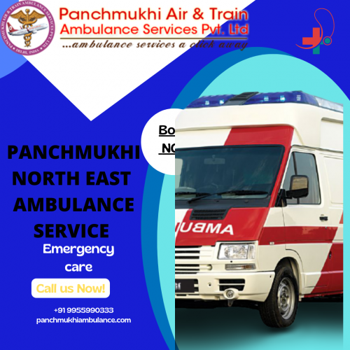 Panchmukhi-North-East-Ambulance-Service-in-Badarpur-Precious-Life.png