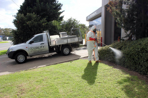 Quality Pest Control and Maintenance specialise in termite inspections, termite treatments and your general pest control needs in Craigieburn, Warrandyte, Ivanhoe and Melbourne. Call us today for a free quote 0422 805 251.
Visit us:-http://www.qualitypestcontrolandmaintenance.com.au/