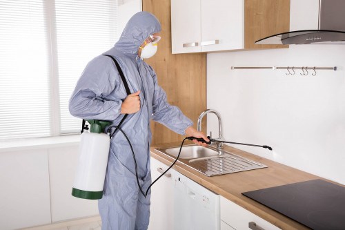 We are the leading Pest Control company in australia. Our quality Pest Control Services in Epping, Bulleen, Doncaster, Balwyn, Melbourne, Hoppers Crossing and Pascoe Vale.We provide 100% customer satisfaction. call us 0422 805 251.
Visit us:-http://www.qualitypestcontrolandmaintenance.com.au/