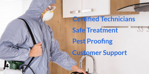 Quality Pest Control and Maintenance specialise in termite inspections, Pest control and Building and pest inspection in Melbourne, craigieburn, hoppers crossing, pascoe vale and Epping.
Visit us:-http://www.qualitypestcontrolandmaintenance.com.au/