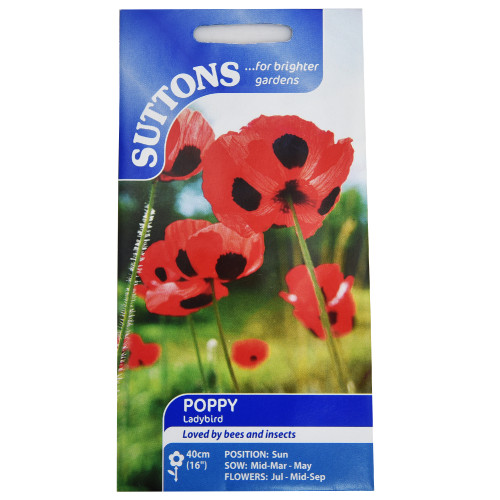 Poppy-Ladybird-set-of-1-1.jpg