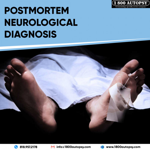 Postmortem-Neurological-Diagnosis2-1.jpg