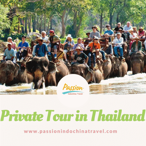 Private-Tour-in-Thailand.gif