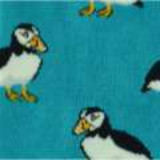 Puffins_SKS259_TURQUOISE_SWATCH