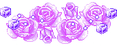 Purple rose 170X70