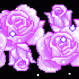 Purple-rose-170X70