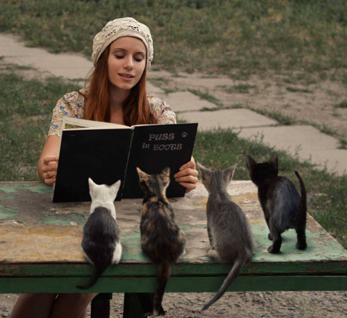 Reading-to-cats.jpg