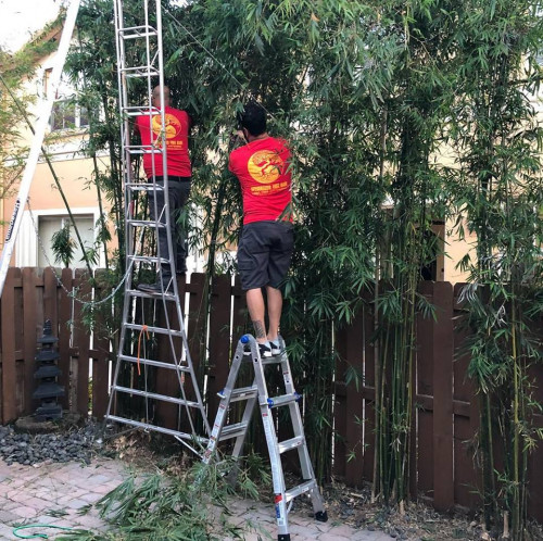 Specialized Tree Care
Miami, FL
(786) 718-2443